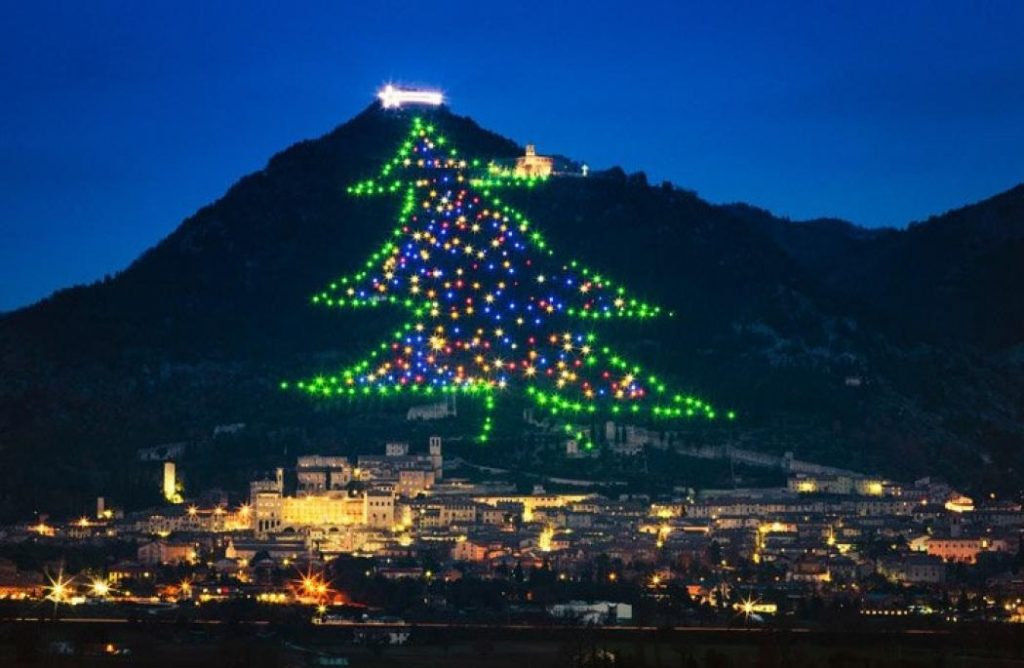 gubbio_albero Molise Tour & Omega Travel